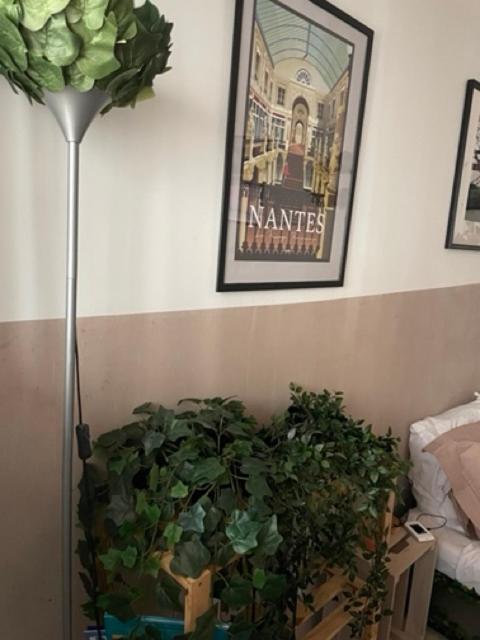 Le Petit Nid Apartment Nantes Luaran gambar